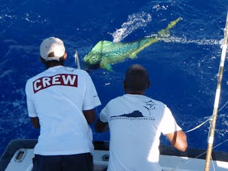 Mauritius deep sea fishing experience